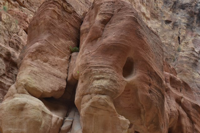 Petra rock elephant